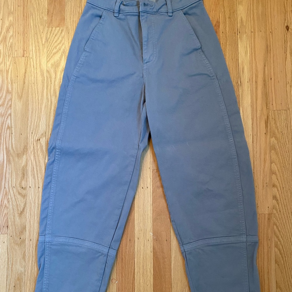 Everlane Barrel Pant